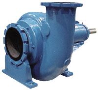 Goulds Slurry Pump